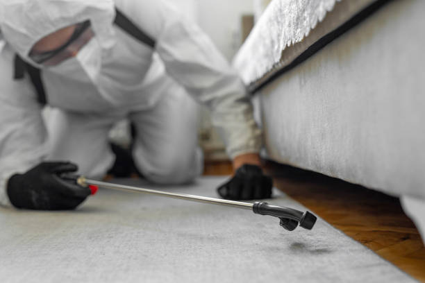 Professional Bed Bug Control technician working in Boone County County, NE
